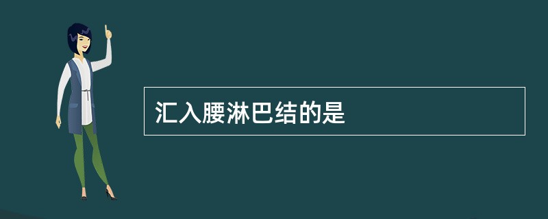 汇入腰淋巴结的是