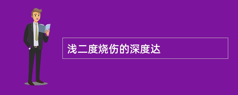 浅二度烧伤的深度达