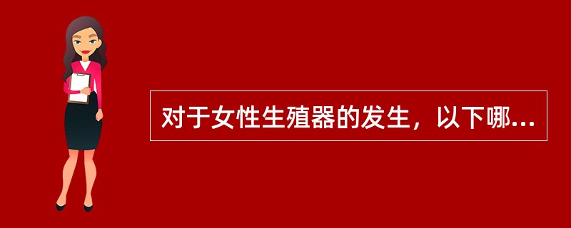 对于女性生殖器的发生，以下哪个说法是恰当的A、由于睾酮的存在使外生殖器向雄性分化