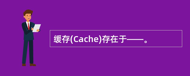 缓存(Cache)存在于——。