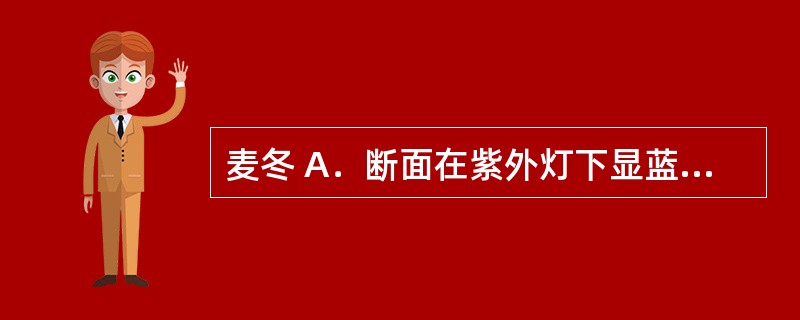 麦冬 A．断面在紫外灯下显蓝紫色荧光 B．断面在紫外灯下显金黄色荧光 C．断面在