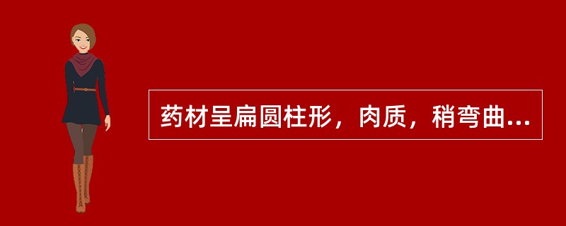 药材呈扁圆柱形，肉质，稍弯曲的是 A．益母草 B．淫羊藿 C．花茵陈 D．肉苁蓉