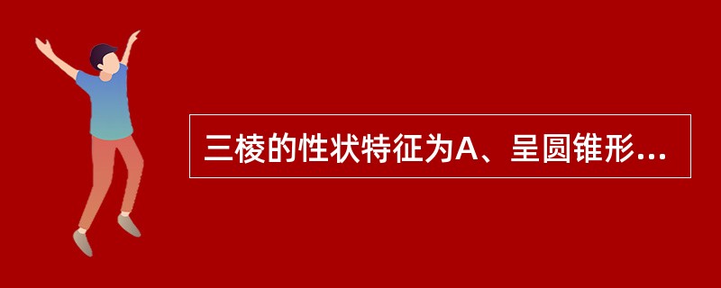 三棱的性状特征为A、呈圆锥形，略扁B、表面黄白色或灰黄色，有刀削痕C、须根痕小点