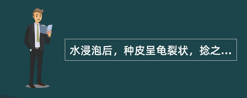 水浸泡后，种皮呈龟裂状，捻之有黏滑感的药材是 A．番红花 B．苏木 C．秦皮 D