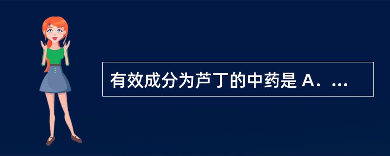 有效成分为芦丁的中药是 A．槐花 B．银杏叶 C．黄芪 D．黄芩 E．葛根 -