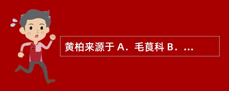 黄柏来源于 A．毛茛科 B．木兰科 C．樟科 D．芸香科 E．木犀科