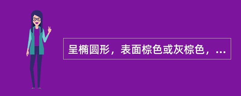 呈椭圆形，表面棕色或灰棕色，有13~20条纵向凹凸不平的突起棱线的药材是A、豆蔻