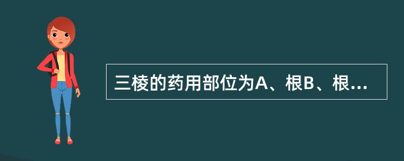 三棱的药用部位为A、根B、根茎C、块根D、根及根茎E、块茎