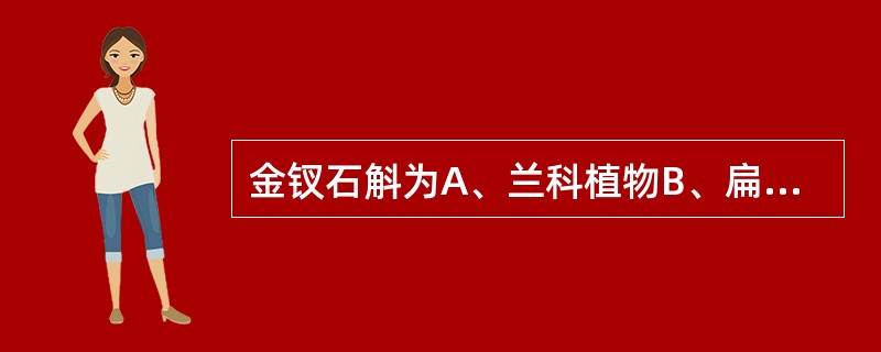 金钗石斛为A、兰科植物B、扁圆柱形C、表面金黄色或黄中带绿D、质硬而脆，断面较平