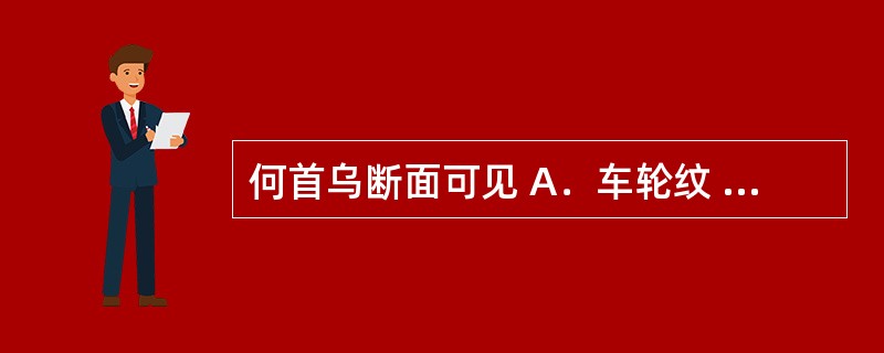 何首乌断面可见 A．车轮纹 B．星点 C．云锦花纹 D．朱砂点 E．罗盘纹 -