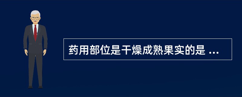 药用部位是干燥成熟果实的是 A．地肤子 B．山茱萸 C．马钱子 D．肉豆蔻 E．