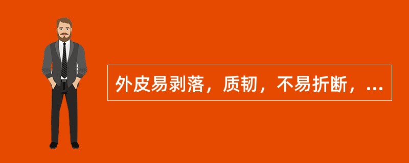 外皮易剥落，质韧，不易折断，断面纤维性强，有髓，味苦的药材是 A．山豆根 B．远