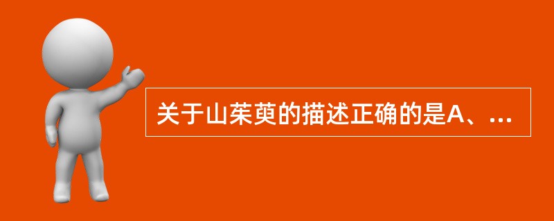 关于山茱萸的描述正确的是A、呈不规则的片状或囊状B、质柔C、气微，味酸涩而微苦D