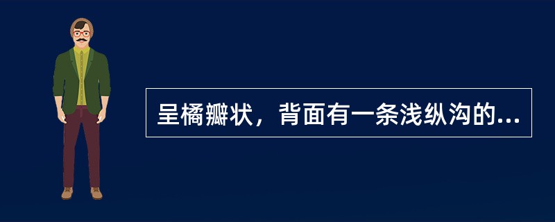 呈橘瓣状，背面有一条浅纵沟的药材是 A．蛇床子 B．砂仁 C．薏苡仁 D．牵牛子