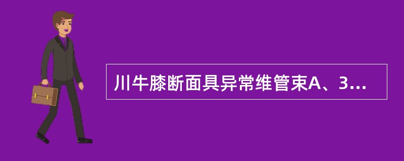 川牛膝断面具异常维管束A、3～8轮B、2～4轮C、4～11轮D、1～4轮E、5～