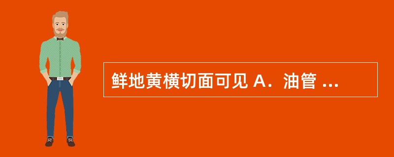 鲜地黄横切面可见 A．油管 B．油细胞 C．橘红色油点 D．油室 E．乳汁管 -