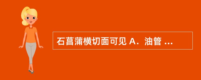 石菖蒲横切面可见 A．油管 B．油细胞 C．橘红色油点 D．油室 E．乳汁管 -