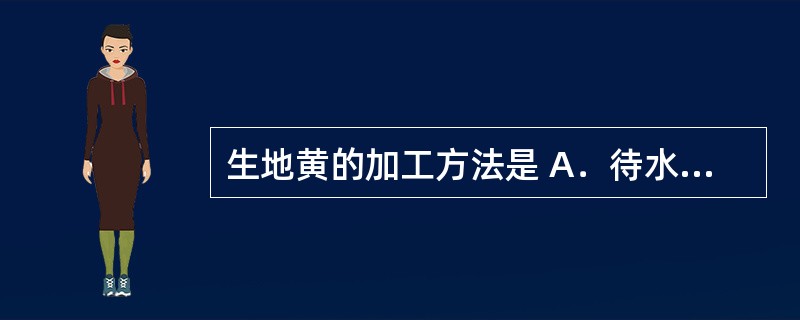 生地黄的加工方法是 A．待水分稍蒸发后，捆成小把，上棚，用烟火慢慢熏干 B．晒至