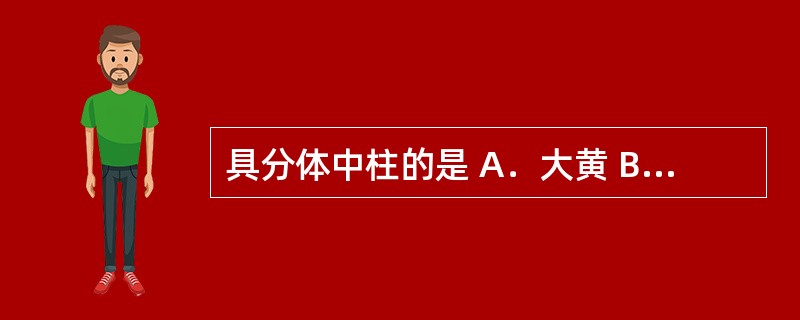 具分体中柱的是 A．大黄 B．牛膝 C．何首乌 D．狗脊 E．绵马贯众