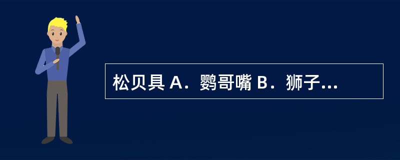 松贝具 A．鹦哥嘴 B．狮子盘头 C．朱砂点 D．怀中抱月 E．云锦花纹