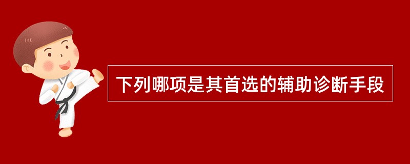 下列哪项是其首选的辅助诊断手段