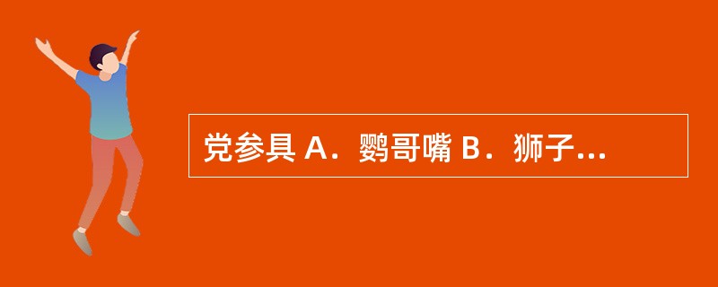 党参具 A．鹦哥嘴 B．狮子盘头 C．朱砂点 D．怀中抱月 E．云锦花纹