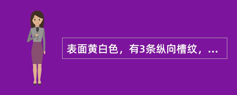 表面黄白色，有3条纵向槽纹，柱基和果柄处均具绒毛的中药材是 A．木瓜 B．豆蔻