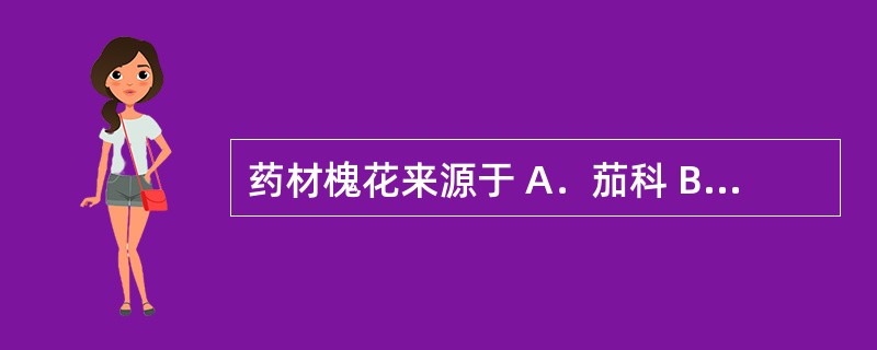 药材槐花来源于 A．茄科 B．豆科 C．忍冬科 D．鸢尾科 E．菊科