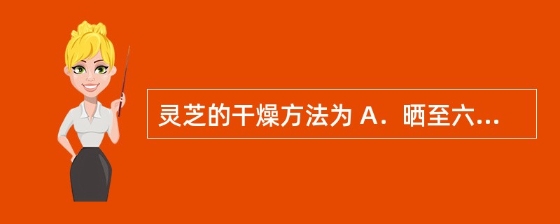 灵芝的干燥方法为 A．晒至六、七成干，除去附着物及杂质，再晒干或低温干燥 B．阴