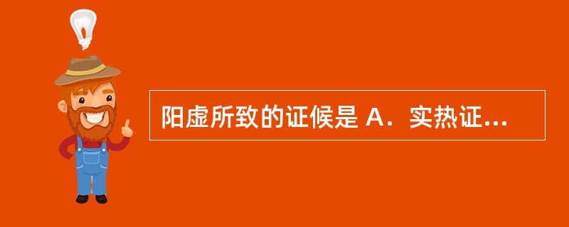 阳虚所致的证候是 A．实热证 B．实寒证 C．虚热证 D．虚寒证 E．真寒假热证