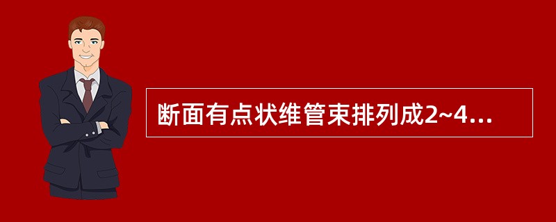 断面有点状维管束排列成2~4轮同心环的饮片是A、防已B、柴胡C、龙胆D、牛膝E、
