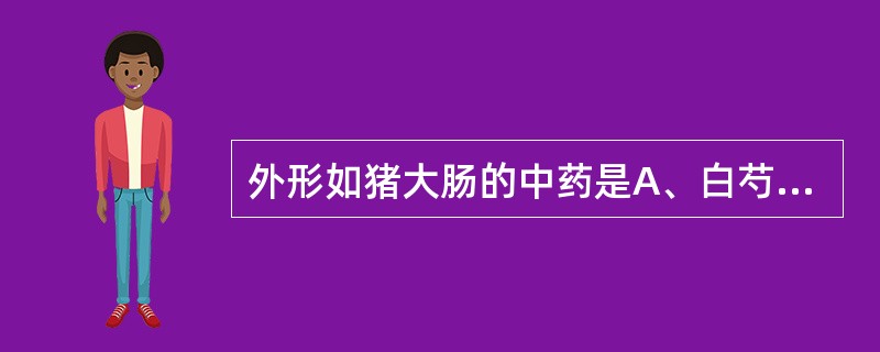 外形如猪大肠的中药是A、白芍B、木通C、牡丹皮D、防已E、巴戟天