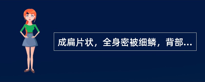 成扁片状，全身密被细鳞，背部有黄白色或灰绿色斑点，足趾底面具吸盘的药材是 A．金