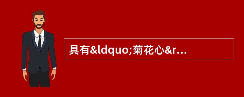 具有“菊花心”的药材有A、黄芪B、甘草C、葛根D、三七E