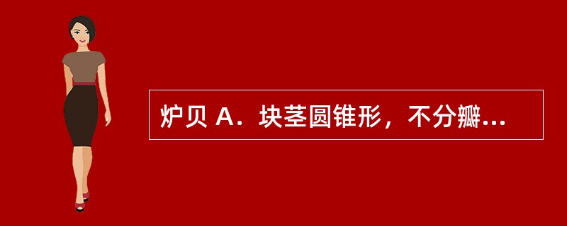 炉贝 A．块茎圆锥形，不分瓣，一侧有纵向凹沟，味苦微麻，含秋水仙碱 B．鳞茎呈圆