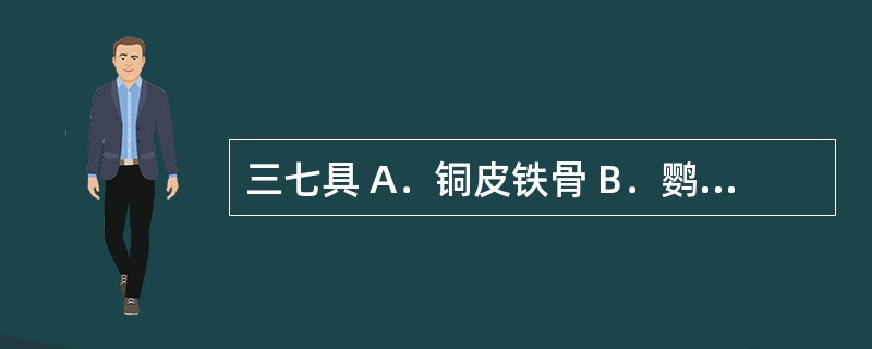 三七具 A．铜皮铁骨 B．鹦哥嘴 C．如意头 D．怀中抱月 E．芦头、芦碗、芋