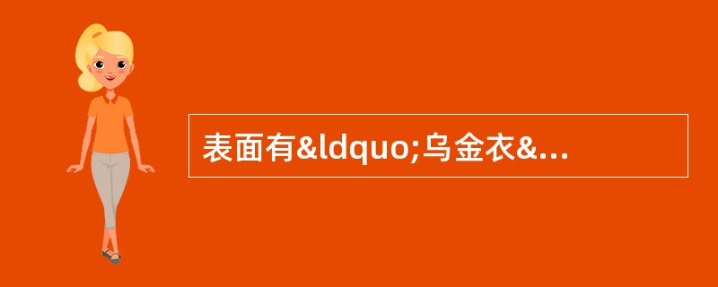 表面有“乌金衣”，断面具细密的同心层纹，粉末清水调和后能