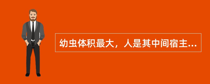 幼虫体积最大，人是其中间宿主的绦虫是