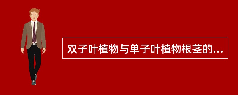 双子叶植物与单子叶植物根茎的区别在于A、双子叶植物根茎具有木栓层，而单子叶植物根