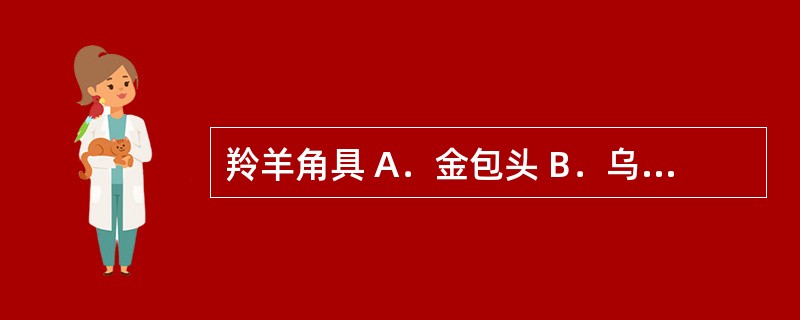 羚羊角具 A．金包头 B．乌金衣 C．狮子盘头 D．通天眼 E．蚯蚓头 上述术语