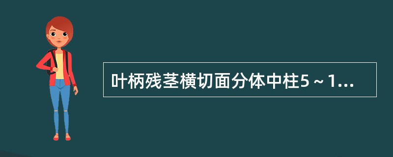 叶柄残茎横切面分体中柱5～13个排列成环的中药是A、荚果蕨贯众B、峨嵋蕨贯众C、