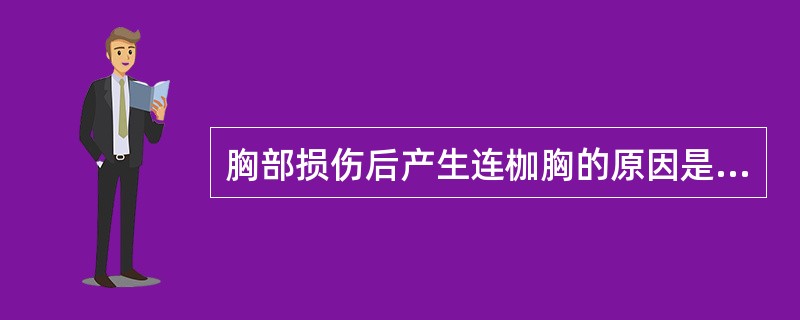 胸部损伤后产生连枷胸的原因是A、两根以上肋骨骨折B、多根多处肋骨骨折C、胸骨骨折