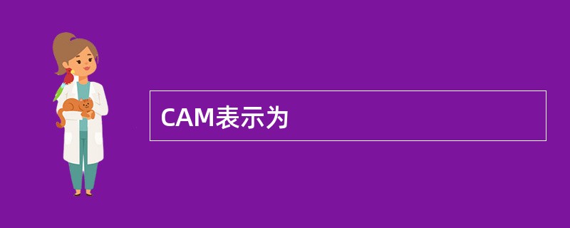 CAM表示为