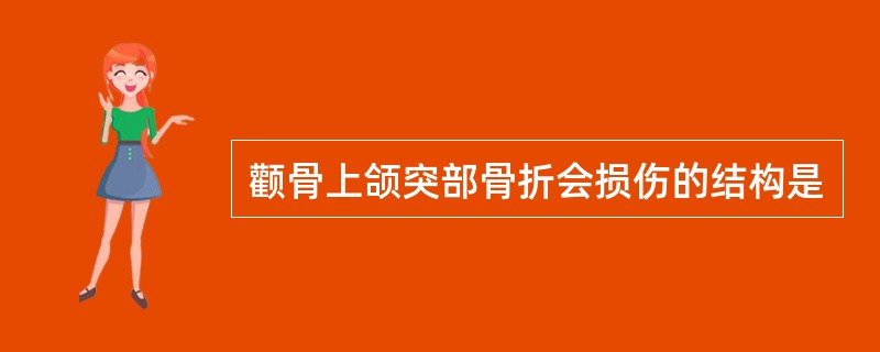 颧骨上颌突部骨折会损伤的结构是