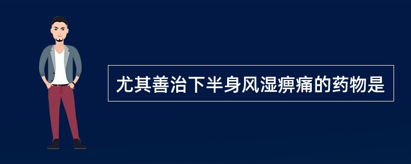 尤其善治下半身风湿痹痛的药物是