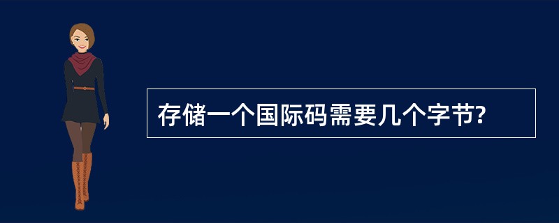 存储一个国际码需要几个字节?