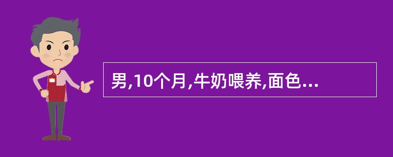 男,10个月,牛奶喂养,面色苍白约2个月。烦躁,食欲欠佳,肝肋下2cm,脾肋下刚