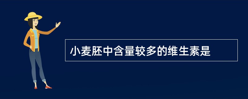 小麦胚中含量较多的维生素是