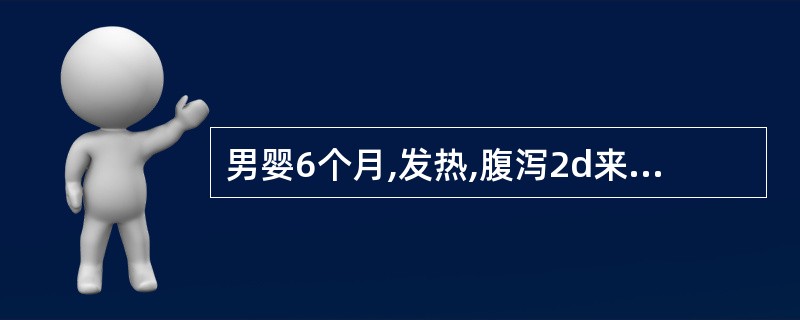 男婴6个月,发热,腹泻2d来门诊,体温38.5~40℃ (肛表),大便(10~1