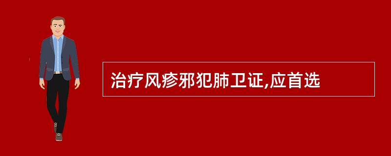 治疗风疹邪犯肺卫证,应首选